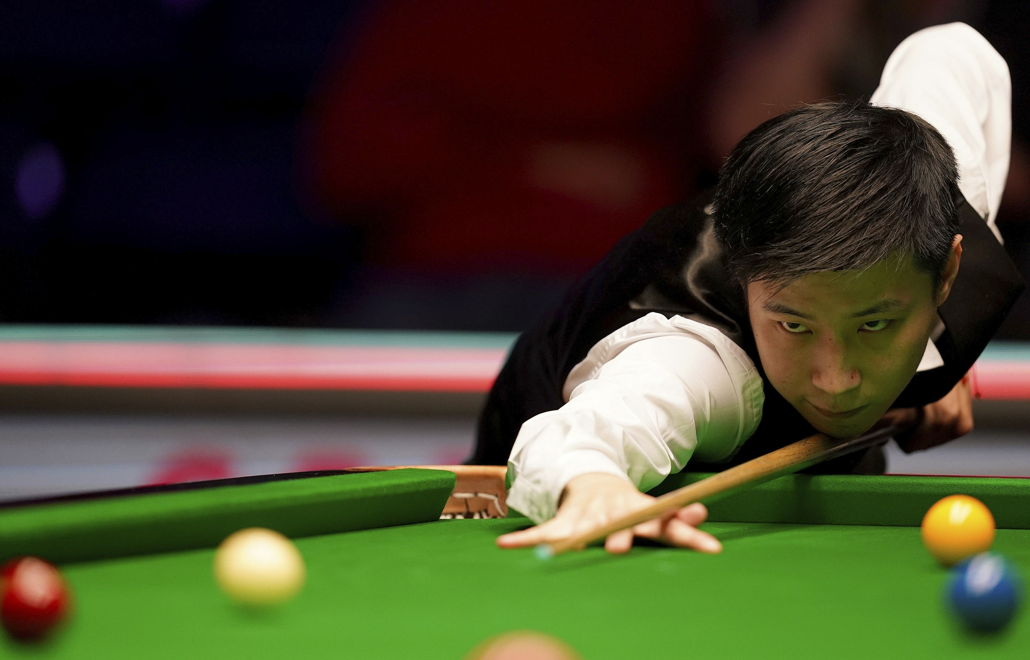 在这篇文章 在这篇文章