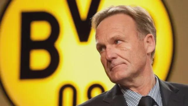 你的判断不 你的判断不